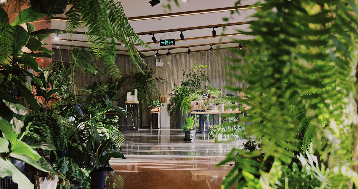 万利官网奥莱·滇池小镇