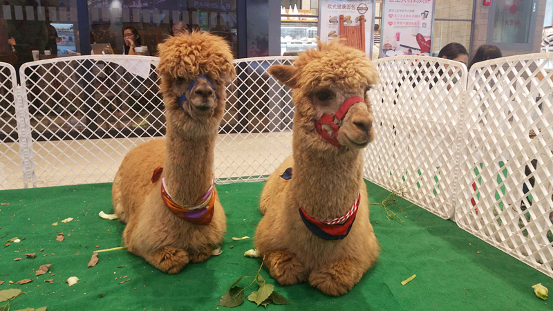 万利官网(中国)唯一官方网站