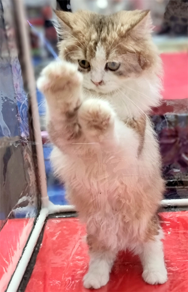 万利官网(中国)唯一官方网站