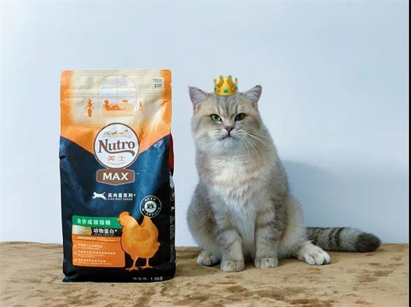 万利官网(中国)唯一官方网站