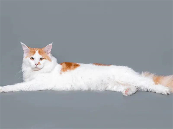 万利官网(中国)唯一官方网站