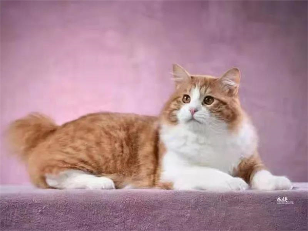 万利官网(中国)唯一官方网站