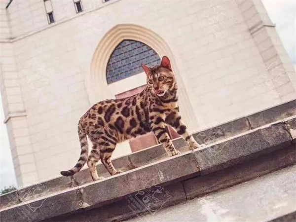 万利官网(中国)唯一官方网站