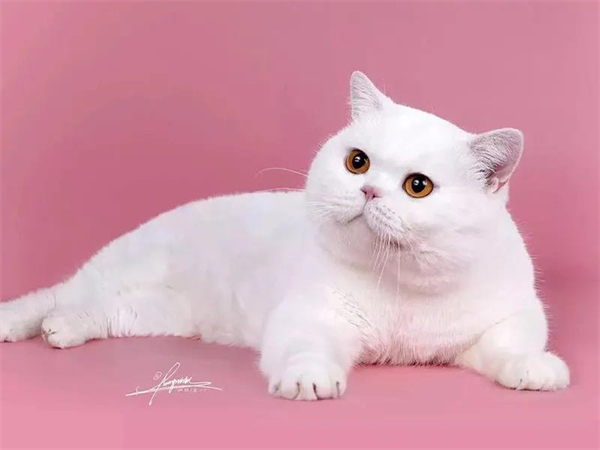 万利官网(中国)唯一官方网站