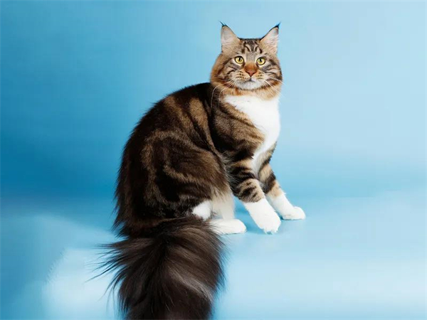 万利官网(中国)唯一官方网站