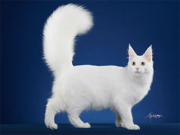 万利官网(中国)唯一官方网站