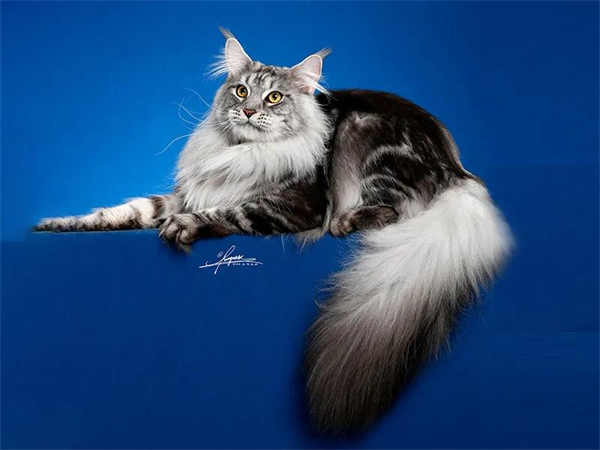 万利官网(中国)唯一官方网站