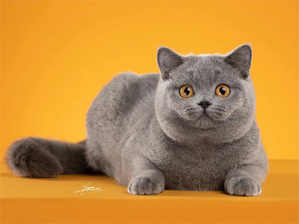 万利官网(中国)唯一官方网站