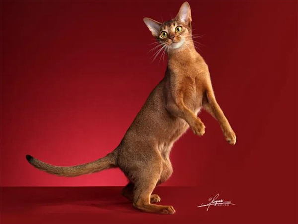 万利官网(中国)唯一官方网站