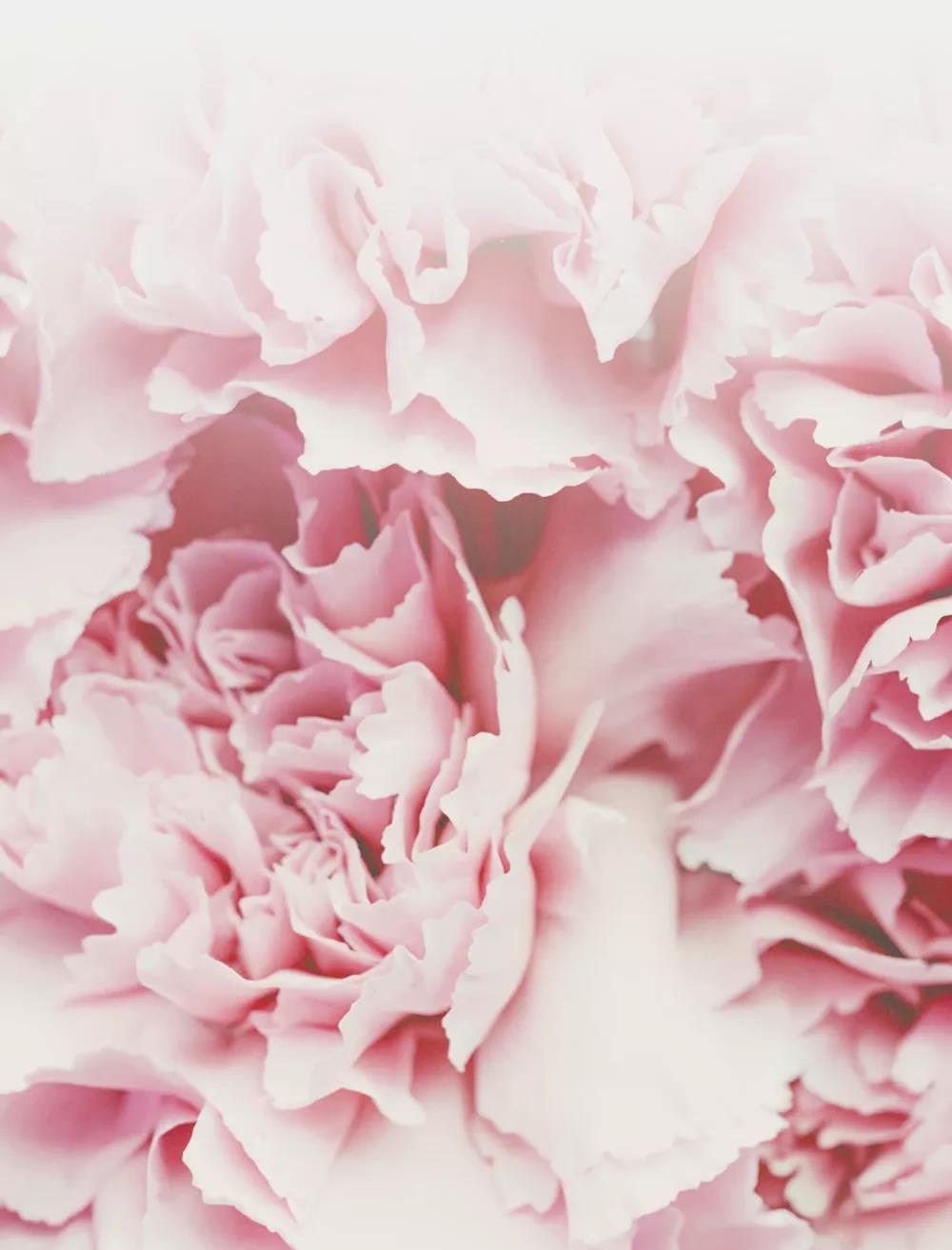 万利官网(中国)唯一官方网站