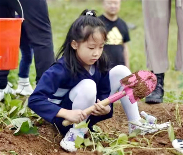 万利官网(中国)唯一官方网站