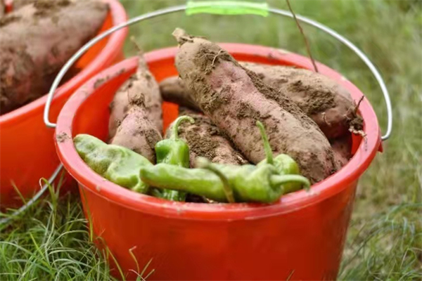 万利官网(中国)唯一官方网站