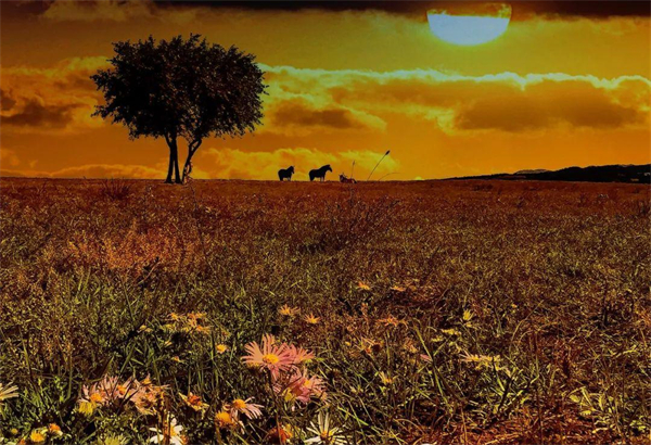 万利官网(中国)唯一官方网站