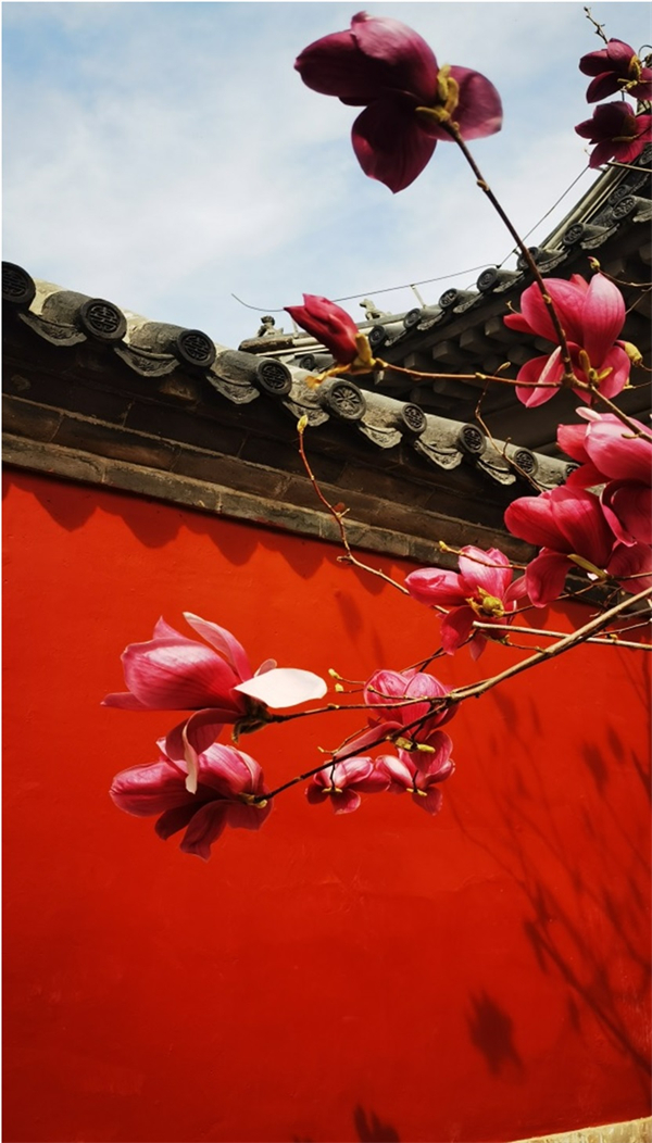 万利官网(中国)唯一官方网站